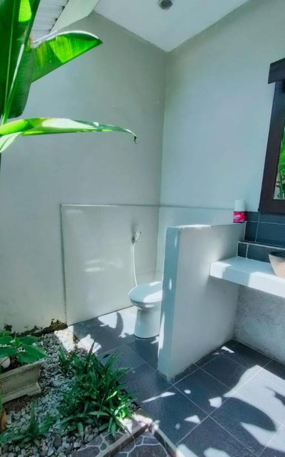Pineapple Guest House 吉利阿尔 外观 照片